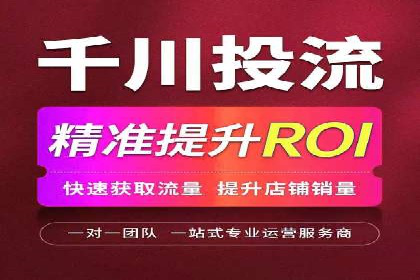 SEM代理助力品牌：案例解析与优化策略